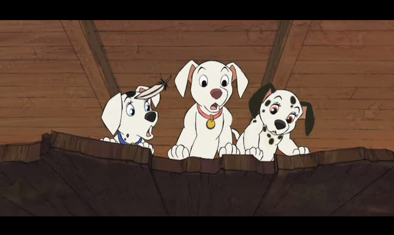 Jewel, Cadpig, & Oddball
