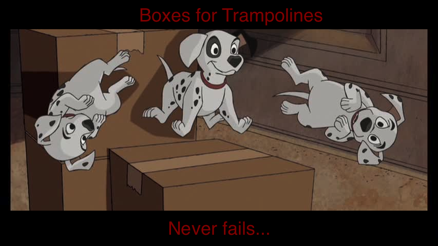 Patch likes trampolines!
