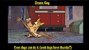Drama king