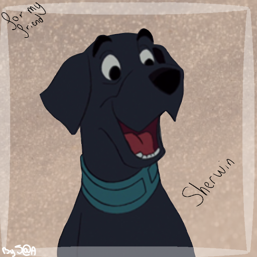 Avatar pour Sherwin 