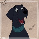 Avatar pour Sherwin 