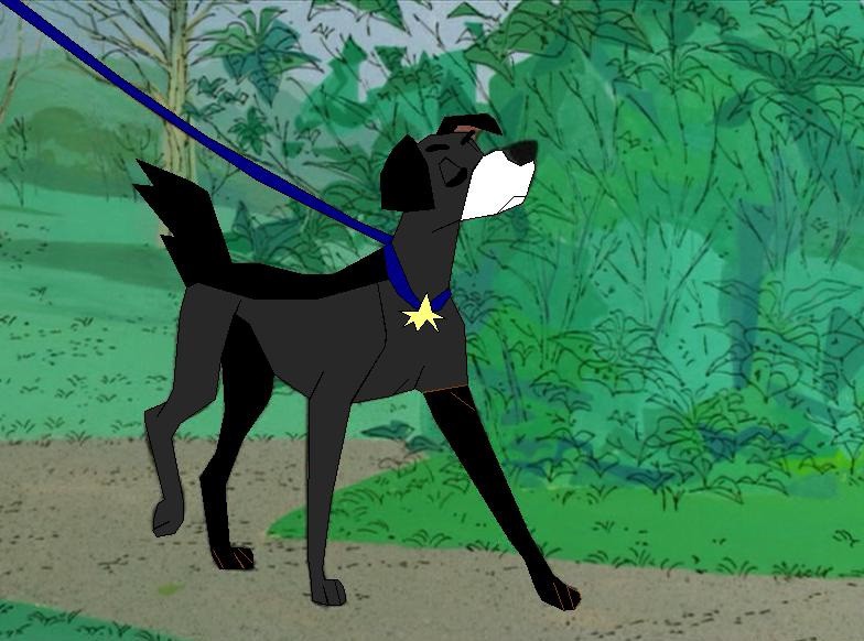 Star