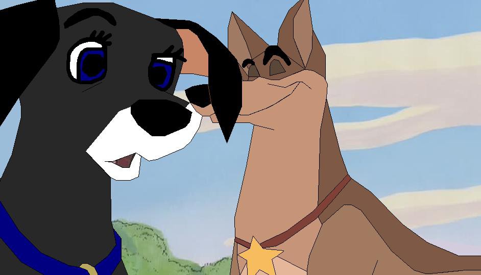 i love you star