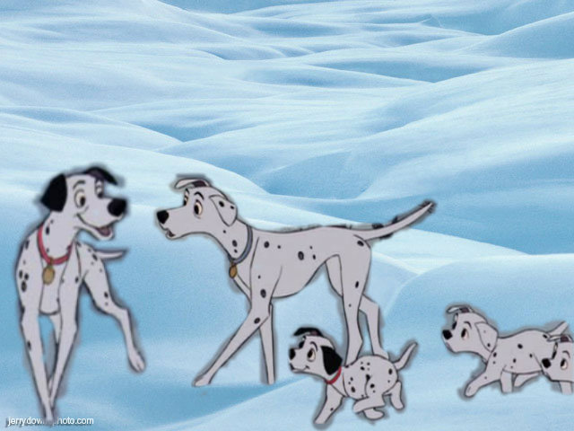 pongo & perditas with some of they pups