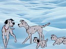 pongo & perditas with some of they pups