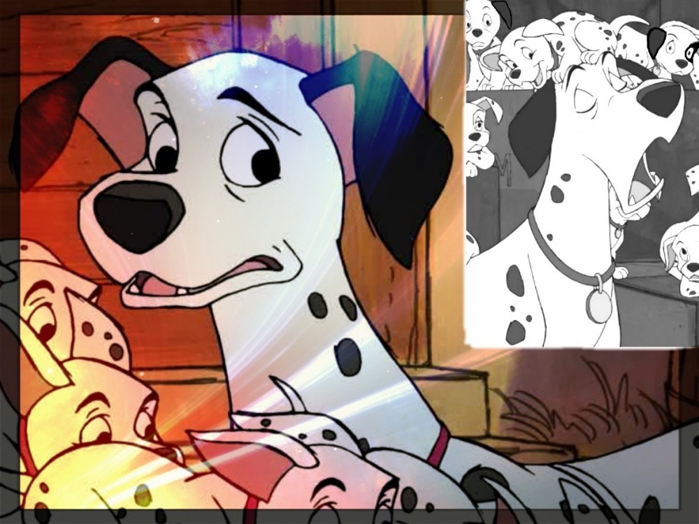 pongo -- big mistake Pongo boy 