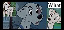 Perdita - what