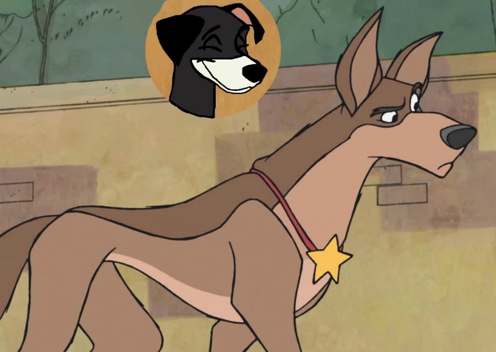 star & Thuderbolt playing hide & go seek