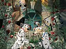pongo and perdita