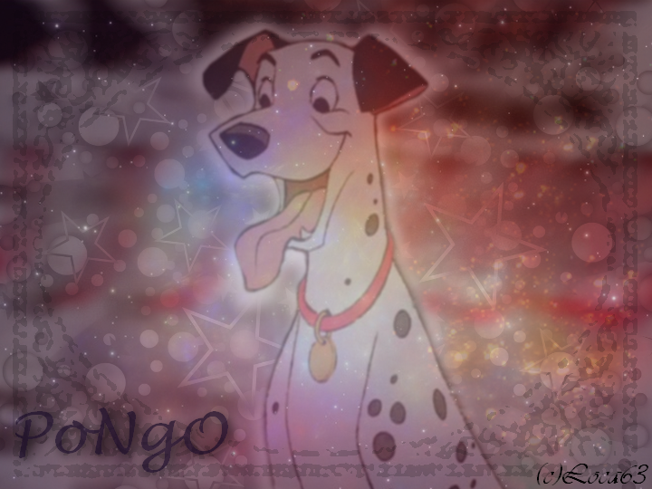 Pongo signature