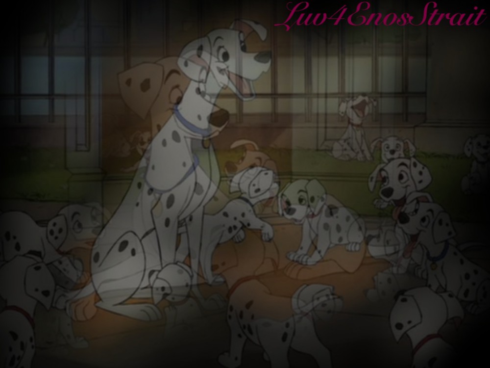 Perdy and her pups 