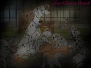 Perdy and her pups 
