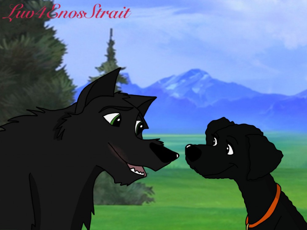I have not seen you in a wile....