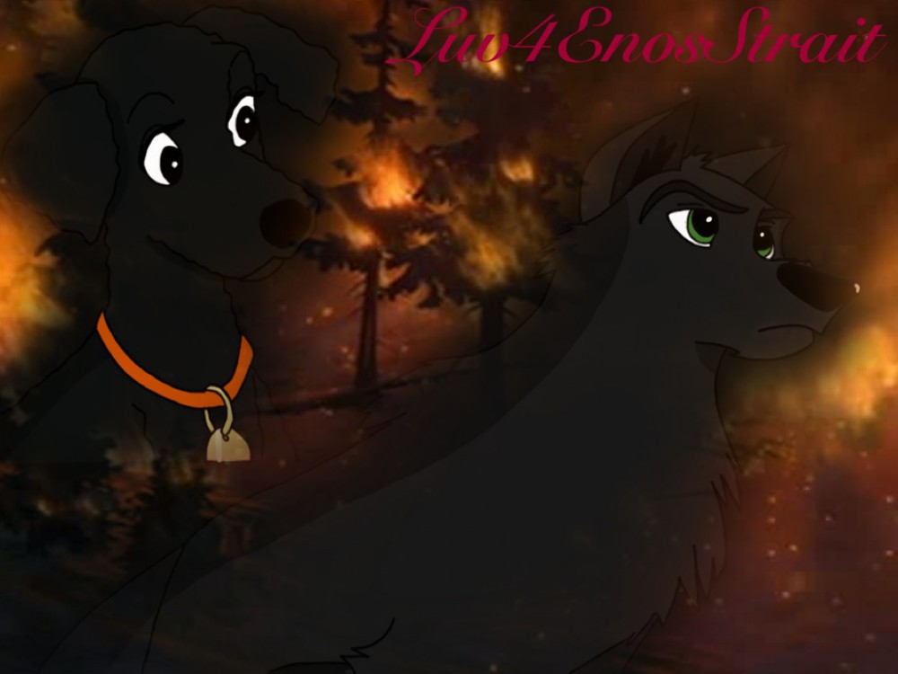 Your like fire to my heart.....