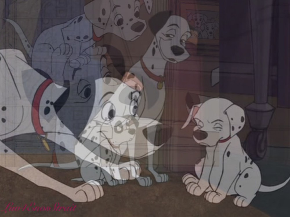 Pongo and his pups