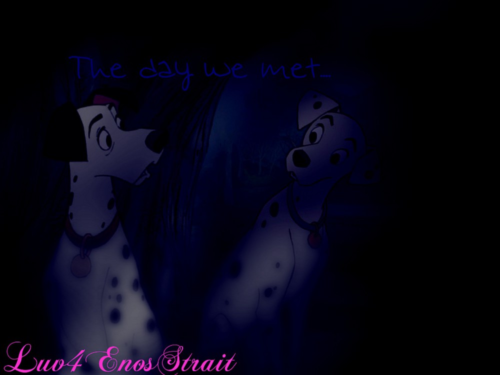 The day we met