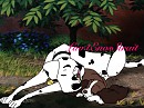 Afternoon nap