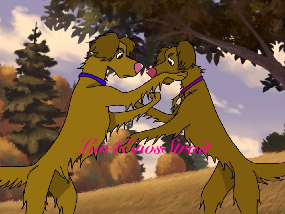 Sibling fight