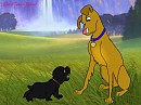 Buddy and Shadow