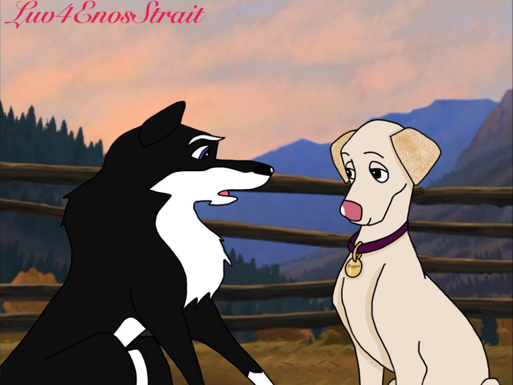 Love at first bark
