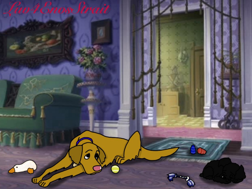 Dog tired