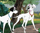 Roly and Missy.