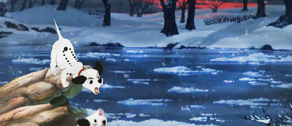 lucky et son reflet