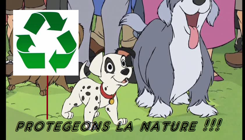 pour le projet 