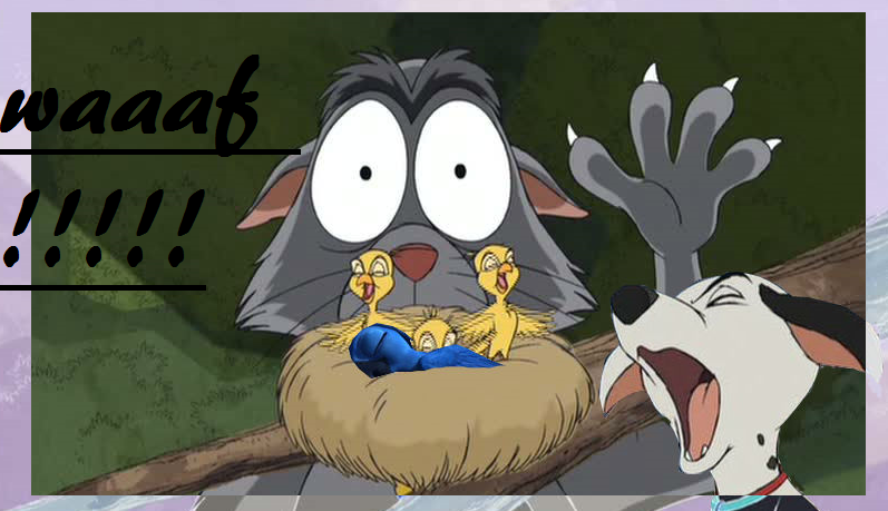 waaaf !!!!! -  pour le projet rio 2 !