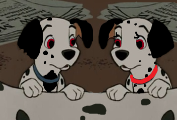 mes 2 chiot favoris