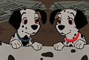 mes 2 chiot favoris