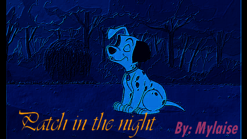 Dans la nuit...