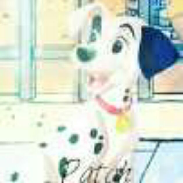 Patch Avvie