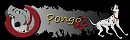 Pongo Signature