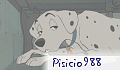 pisicio988
