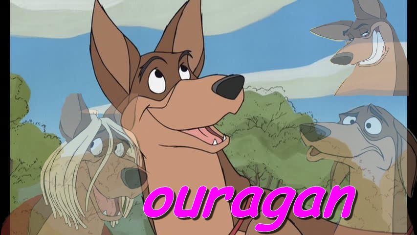 ouragan mon perso preferer