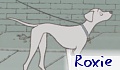 roxie