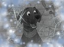Labrador
