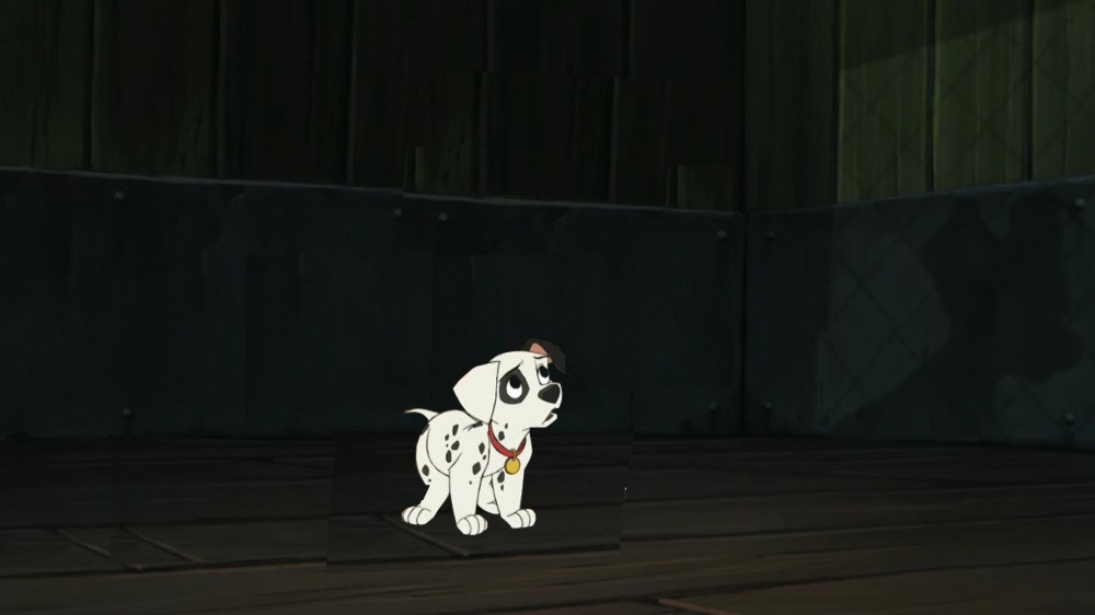patch goes to the pound