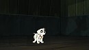 patch goes to the pound