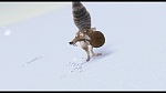 Image L'Age de Glace