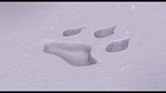 L'Age de Glace picture