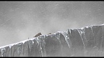 L'Age de Glace picture