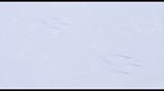 L'Age de Glace picture