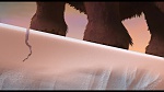 L'Age de Glace picture