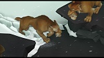 L'Age de Glace picture