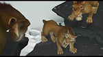 L'Age de Glace picture