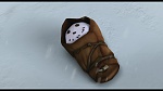 Image L'Age de Glace