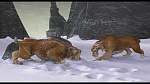Image L'Age de Glace