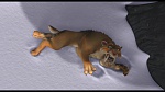 Image L'Age de Glace